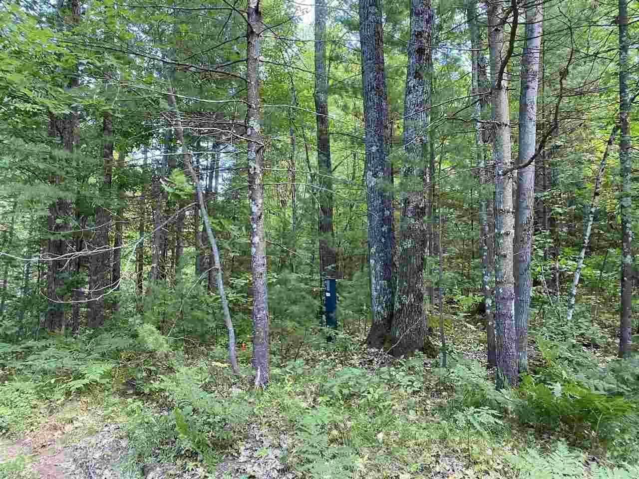 1.5 acres MADELINE LAKE ROAD, Woodruff, WI 54568