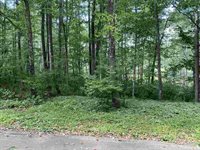 1.5 acres MADELINE LAKE ROAD, Woodruff, WI 54568