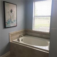 1223 Long Cove, Champions Gate, FL 33896