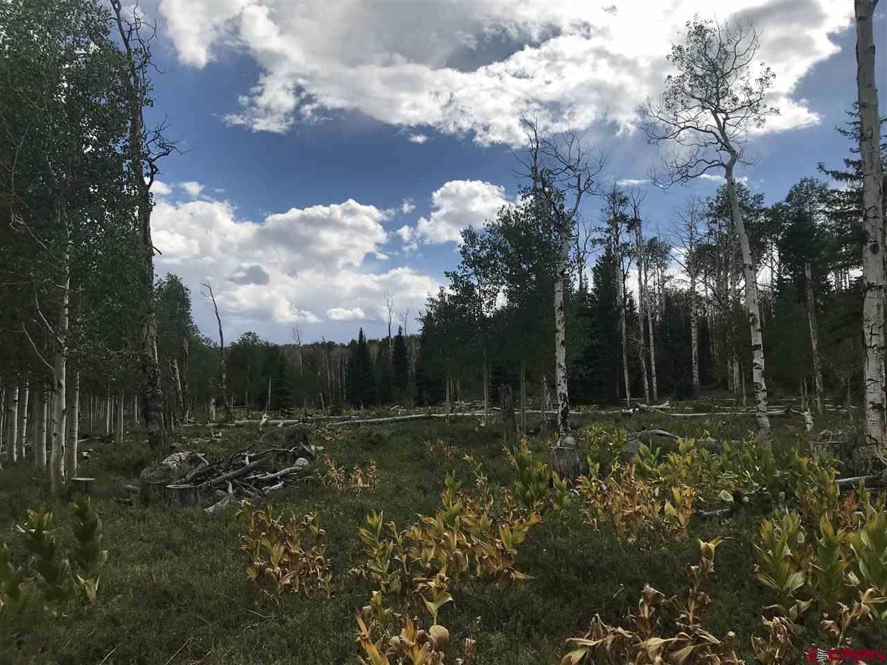 Elk Drive Lot 18, Montrose, CO 81403