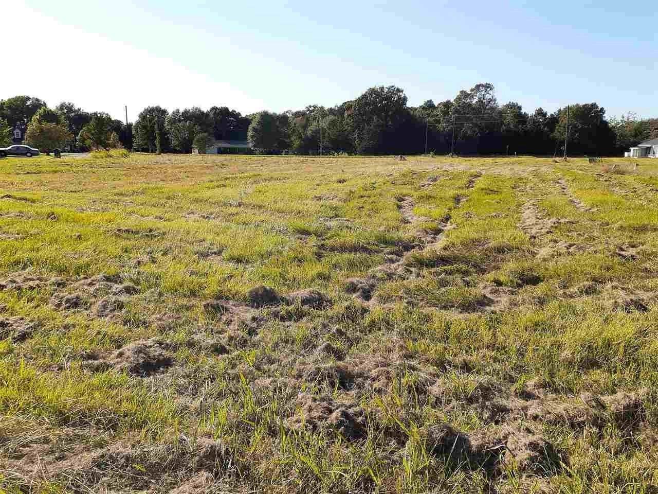 TBD Bluegrass/Bermuda, DeKalb, TX 75559