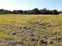 TBD Bluegrass/Bermuda, DeKalb, TX 75559