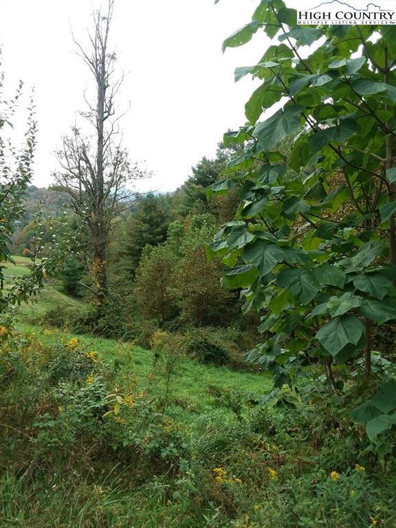 TBD Tambras Way, Vilas, NC 28692