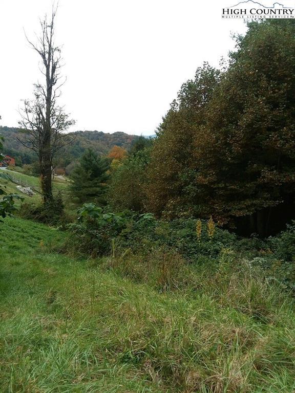 TBD Tambras Way, Vilas, NC 28692