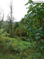 TBD Tambras Way, Vilas, NC 28692