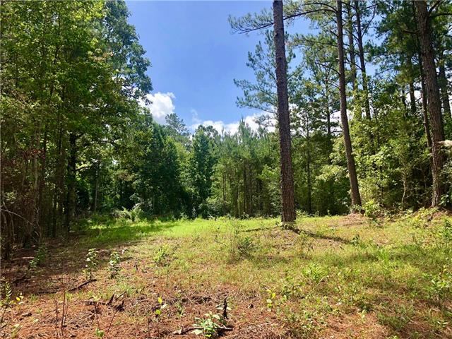 69476 South River Road, Kentwood, LA 70444