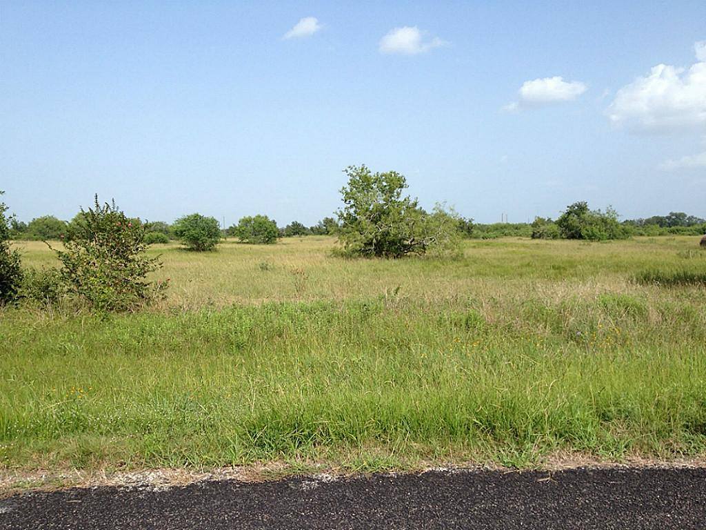 14515 Tierra Grande Dr, Needville, TX 77461