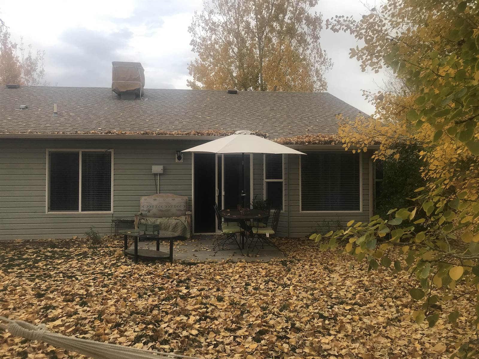 1103 Fivemile Creek Avenue, Montrose, CO 81401