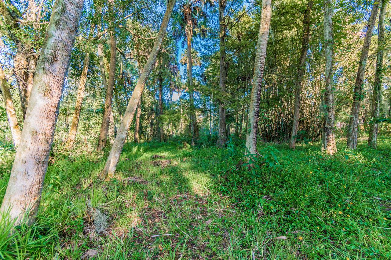 8866 Lake Marion Creek Road, Haines City, FL 33844