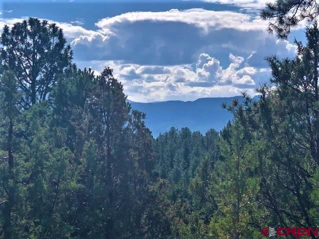 TBD lot 12 Cottontail Lane, Ridgway, CO 81432