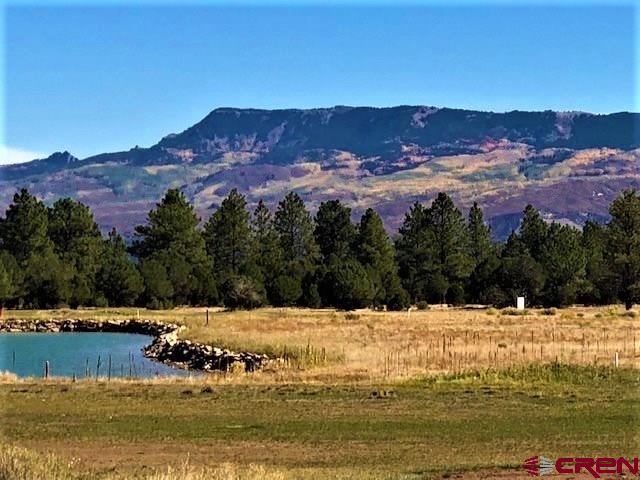 TBD N Badger Trail, Ridgway, CO 81432