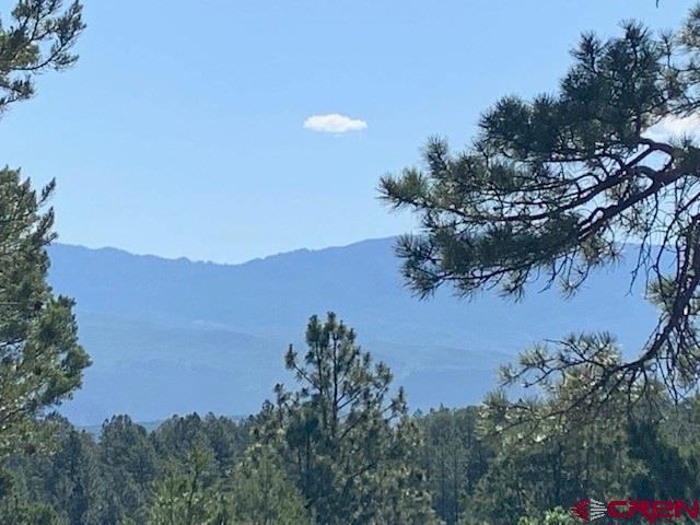 TBD Lot 11 Cottontail Lane, Ridgway, CO 81432