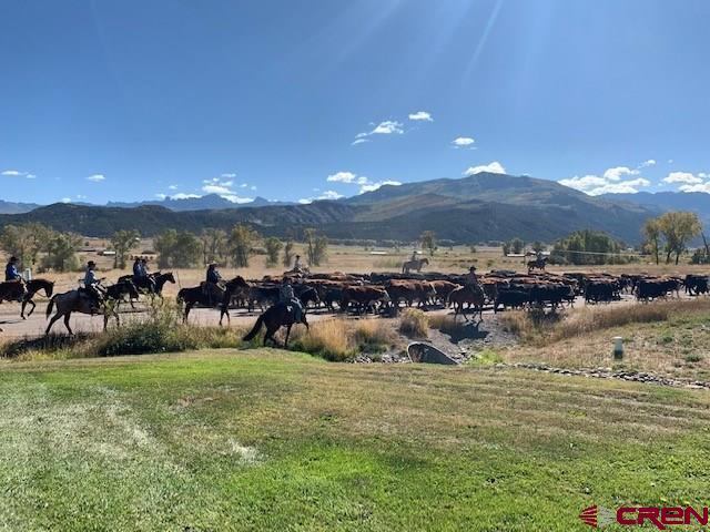 TBD Lot 11 Cottontail Lane, Ridgway, CO 81432