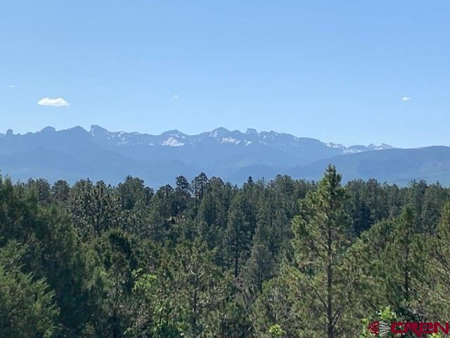 TBD Lot 11 Cottontail Lane, Ridgway, CO 81432