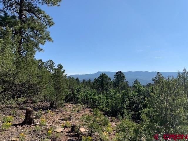 TBD Lot 11 Cottontail Lane, Ridgway, CO 81432