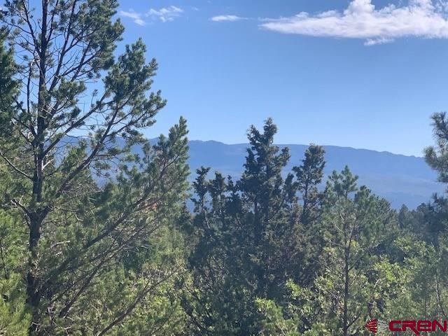 TBD Lot 11 Cottontail Lane, Ridgway, CO 81432