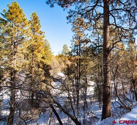 2868 & 2892 Crooked Road, Pagosa Springs, CO 81147