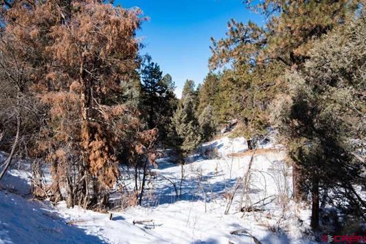 2868 & 2892 Crooked Road, Pagosa Springs, CO 81147