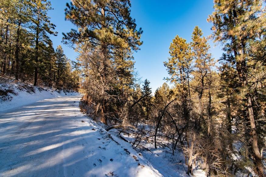 2620 & 2676 Crooked Road, Pagosa Springs, CO 81147