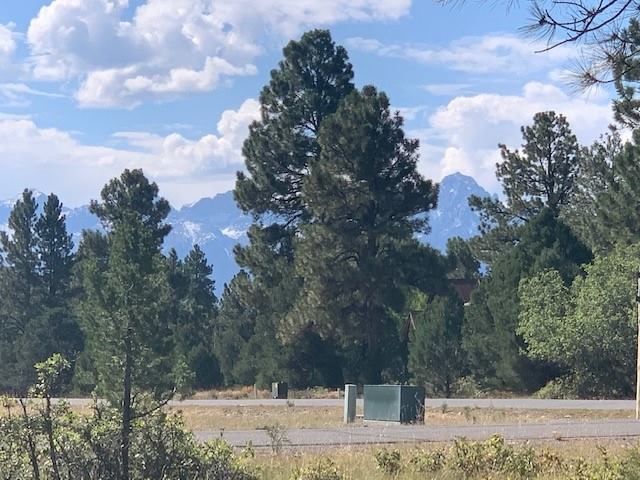 Badger Trail, lot 538, Ridgway, CO 81432