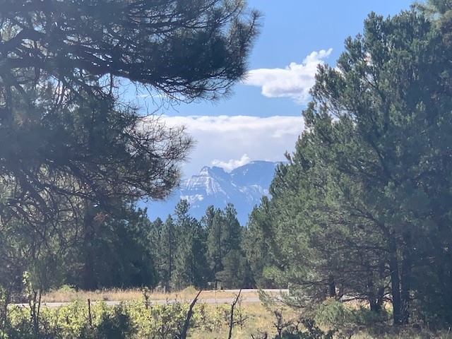 Badger Trail, lot 538, Ridgway, CO 81432