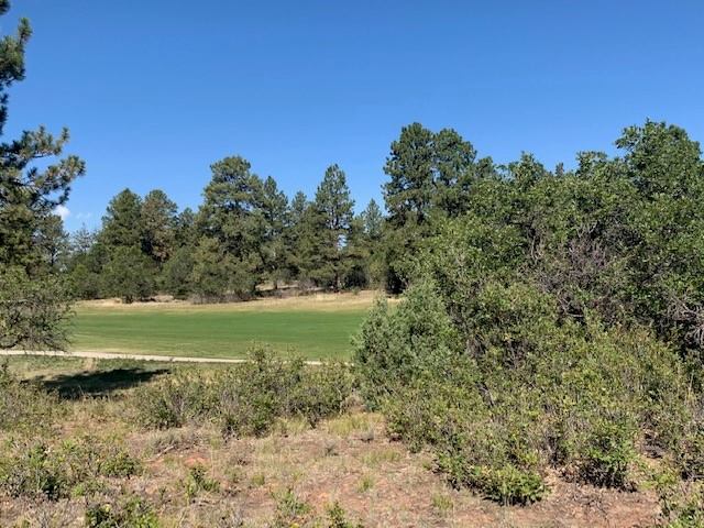 Badger Trail, lot 538, Ridgway, CO 81432