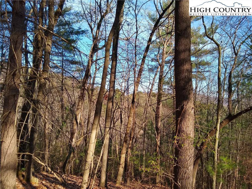 989 Summit Ridge Road, Purlear, NC 28665
