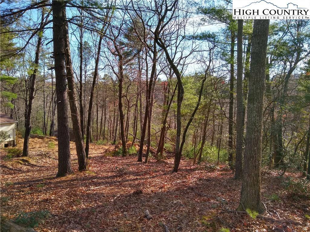 989 Summit Ridge Road, Purlear, NC 28665