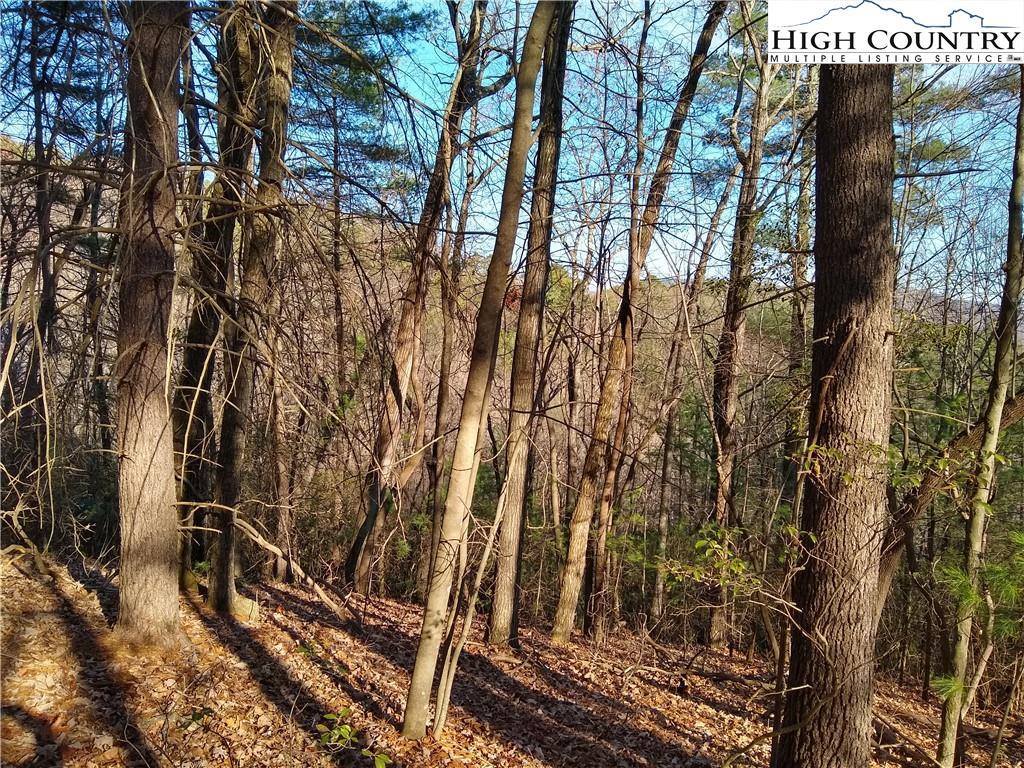 989 Summit Ridge Road, Purlear, NC 28665