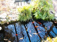 130 Druid Drive, Williamsburg, VA 23185