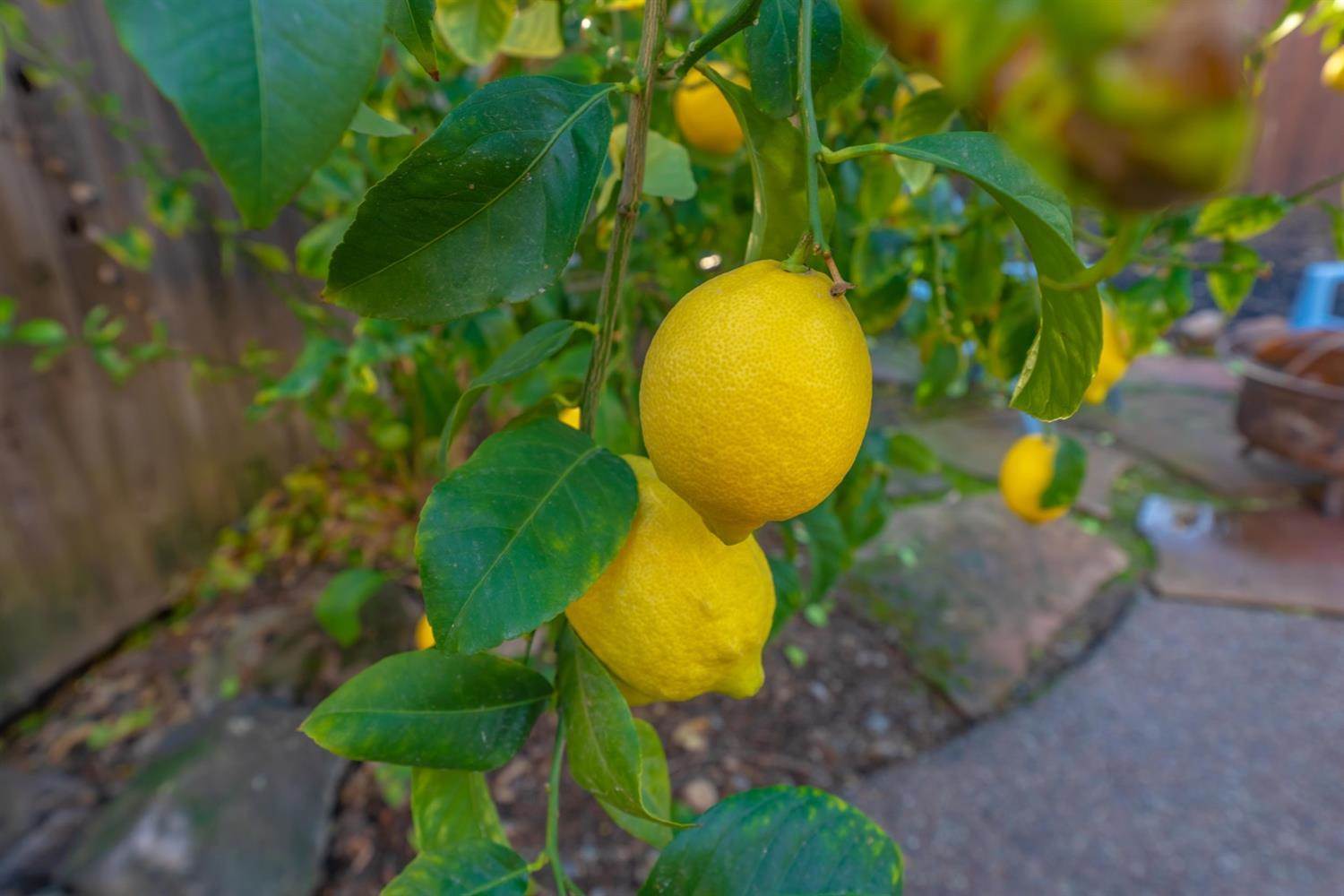 3104 Monarch Court, Rocklin, CA 95765