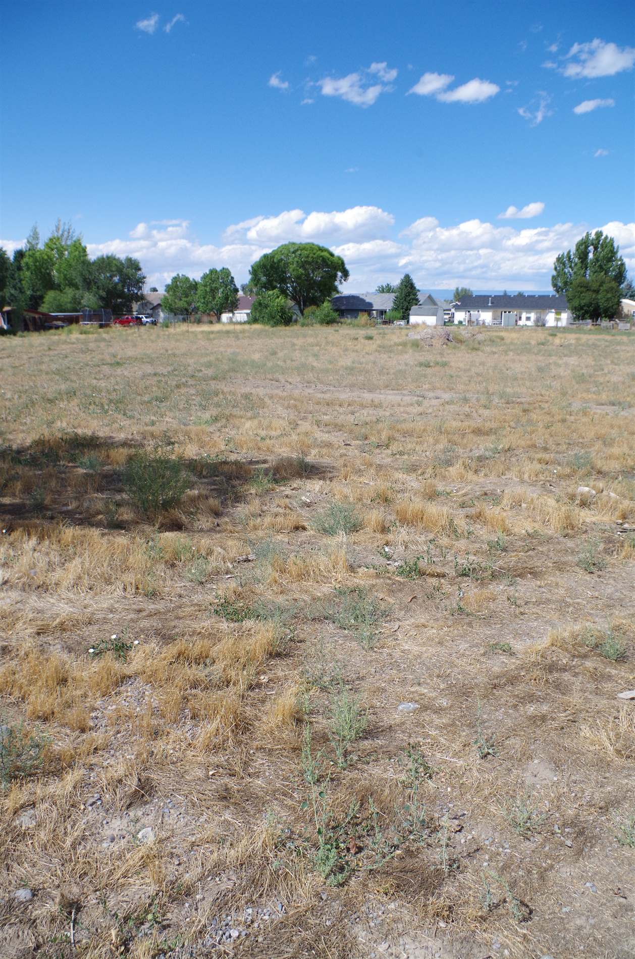 Lot 1 Orchard 2 Orchard Road, Montrose, CO 81403