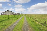 14000 Kelso Rd, Byron, CA 94514