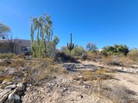 4885 N Acacia Ln, Tucson, AZ 85745
