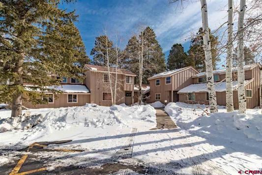 145 Davis Cup, #4041, Pagosa Springs, CO 81147