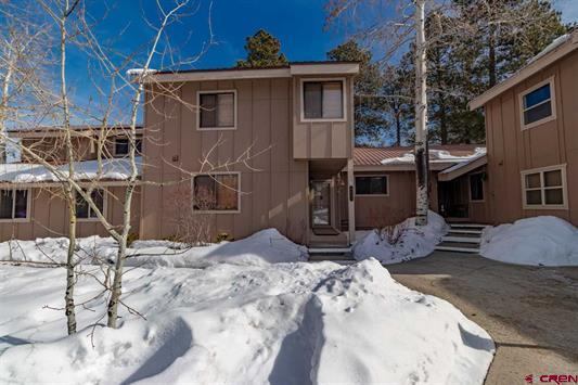 145 Davis Cup, #4041, Pagosa Springs, CO 81147