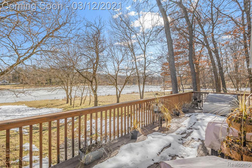 11054 Bach Lane, Byron, MI 48418