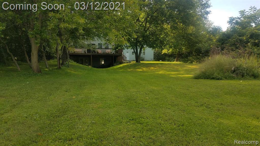 11054 Bach Lane, Byron, MI 48418