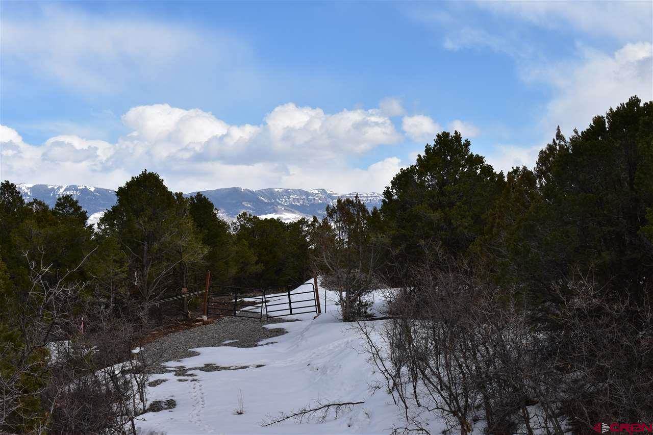 6372 Government Springs Road, Montrose, CO 81403