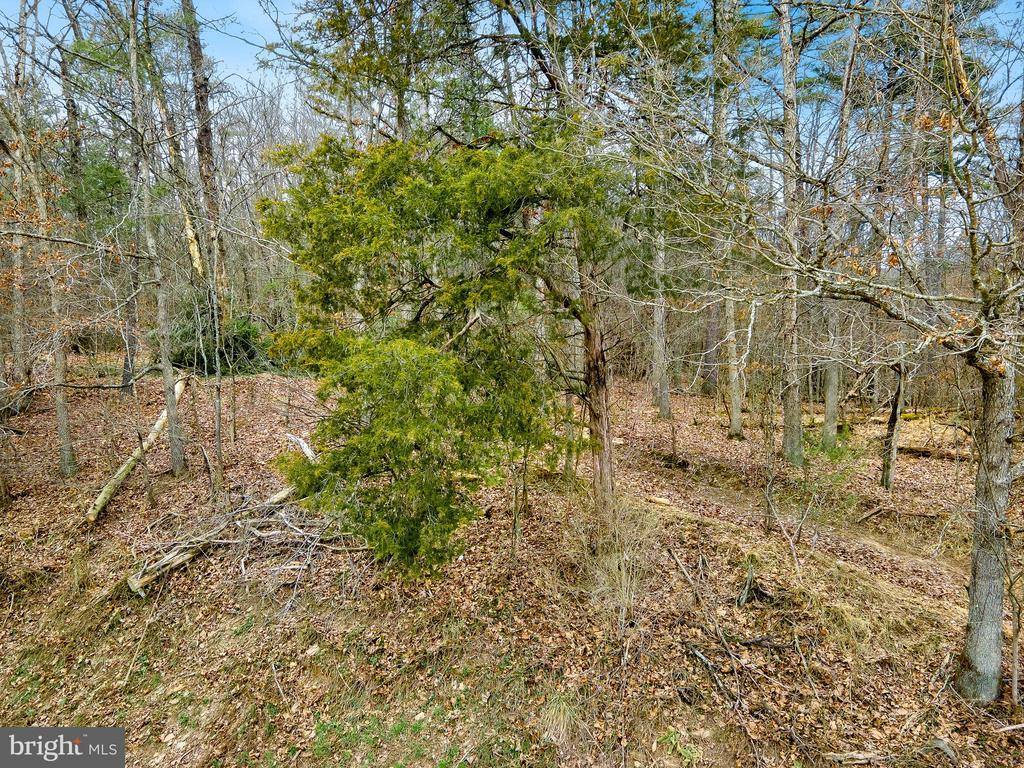 Lot 19 Runions Creek, Broadway, VA 22815