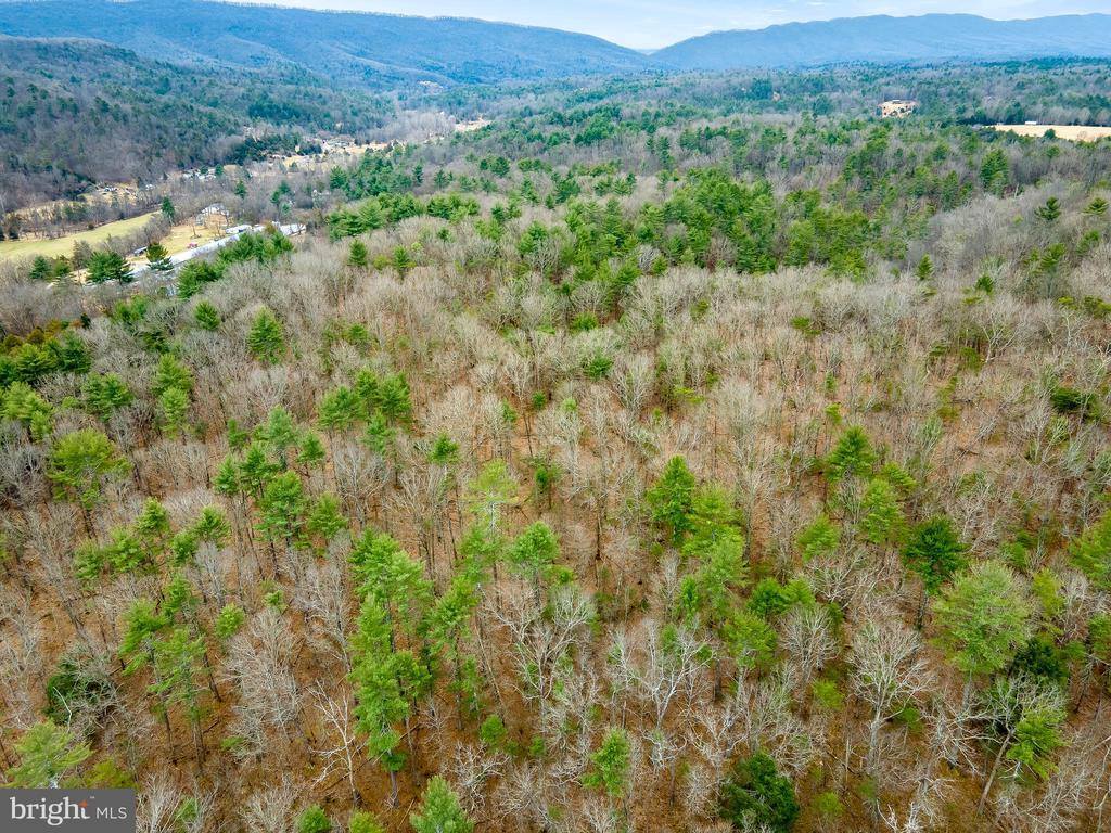 Lot 19 Runions Creek, Broadway, VA 22815