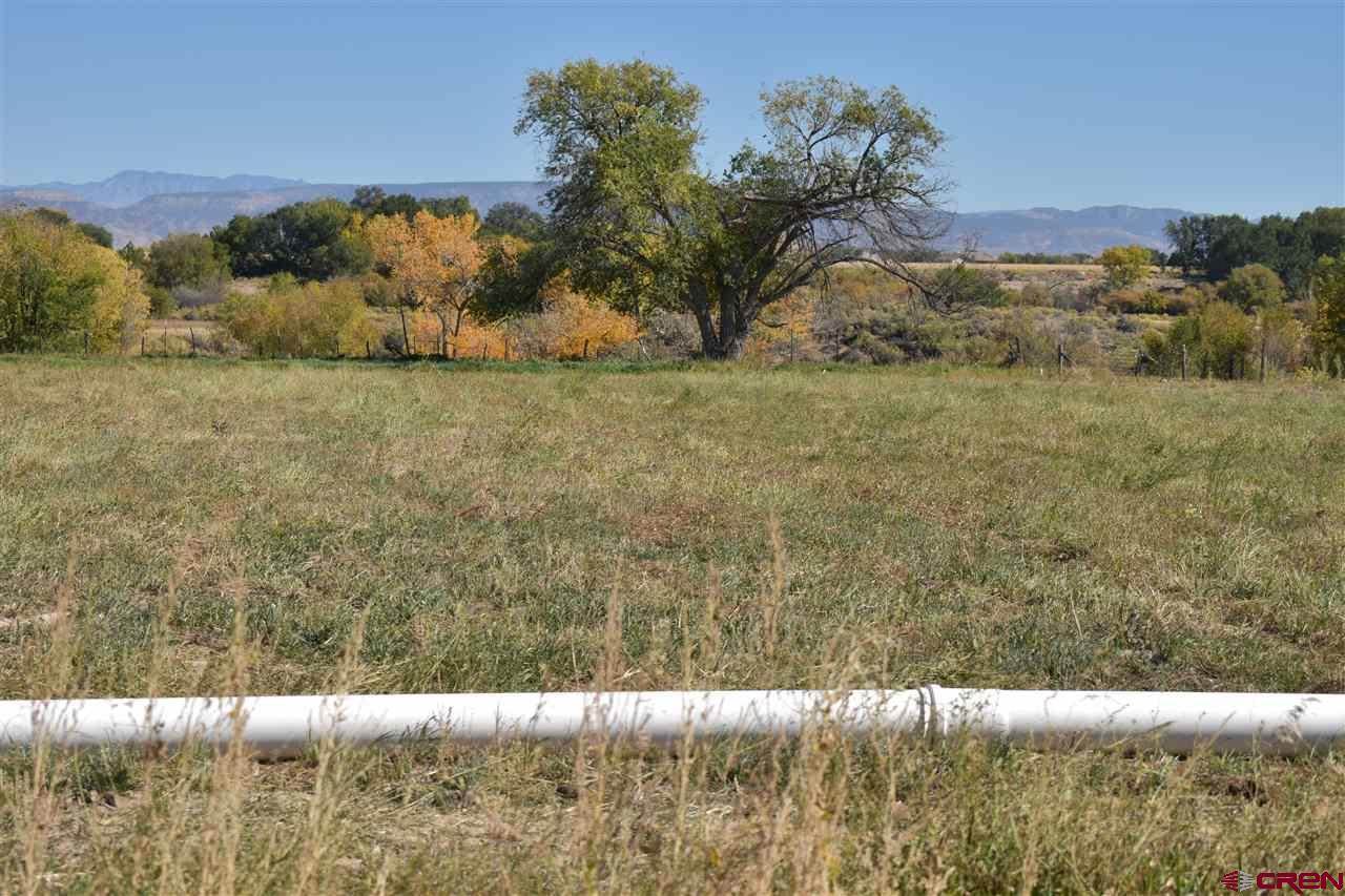 TBD 5100 Road, Delta, CO 81416