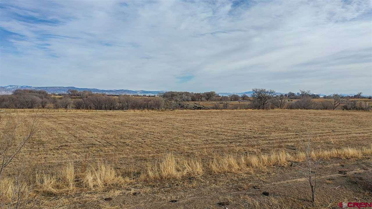 TBD 5100 Road, Delta, CO 81416