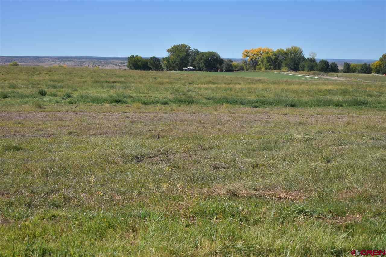 TBD 5100 Road, Delta, CO 81416