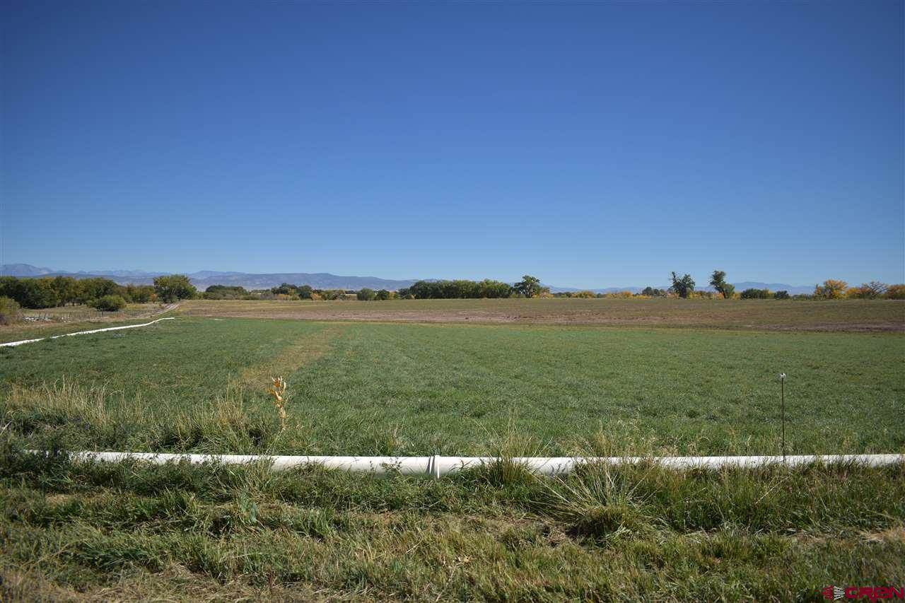 TBD 5100 Road, Delta, CO 81416