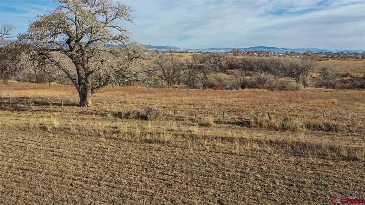 TBD 5100 Road, Delta, CO 81416