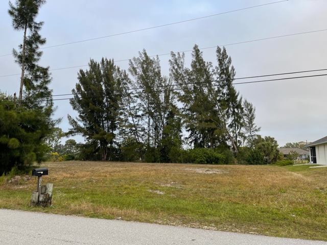 205 SW 21st Street, Cape Coral, FL 33991