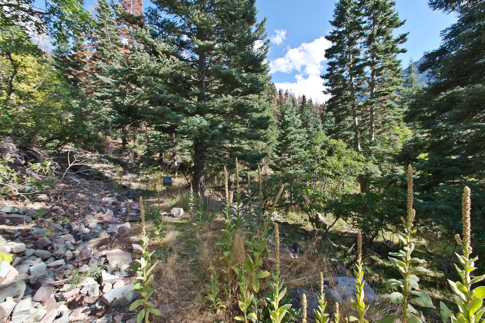 Lot B 6th Street, Ouray, CO 81427