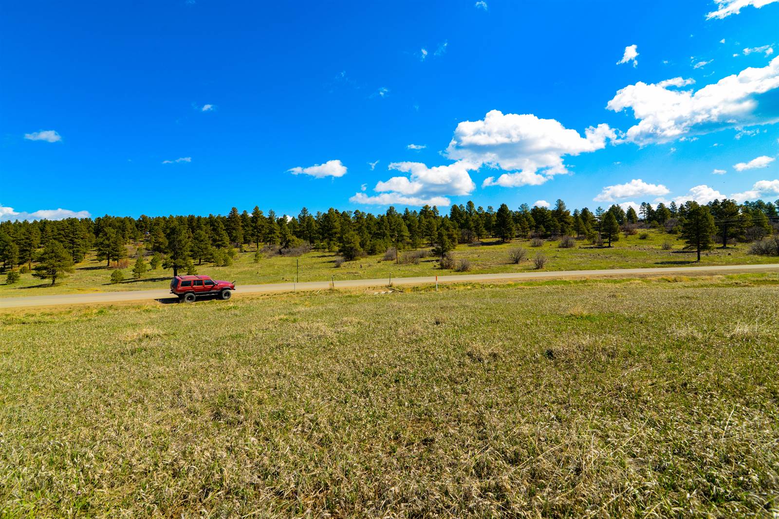 15 Paisley, Pagosa Springs, CO 81147