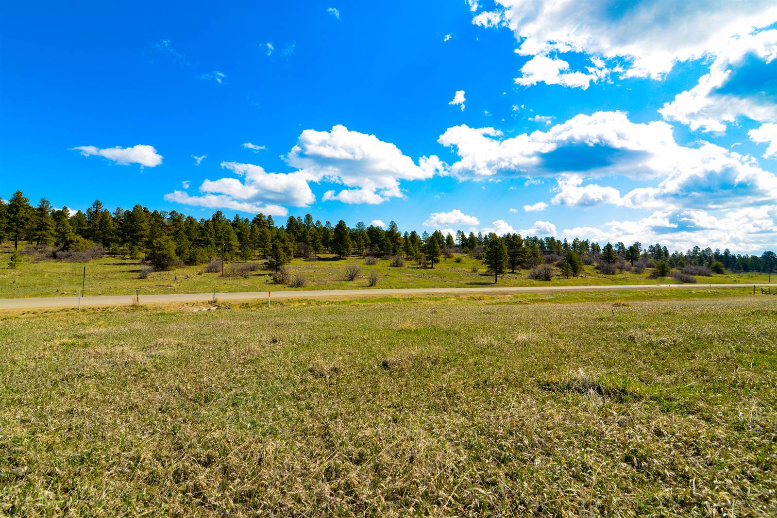 15 Paisley, Pagosa Springs, CO 81147